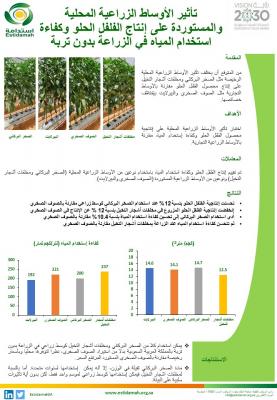 تأثير الأوساط الزراعية المحلية والمستوردة على إنتاج الفلفل الحلو وكفاءة استخدام المياه في الزراعة بدون تربة