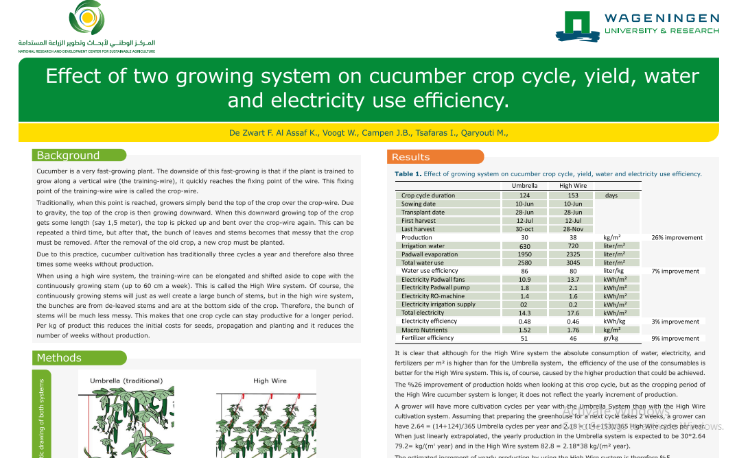 Effect of two growing system on cucumber