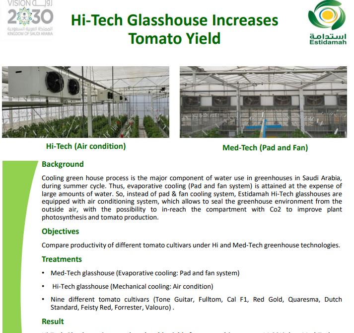 Hi-Tech Glasshouse Increases Tomato Yield