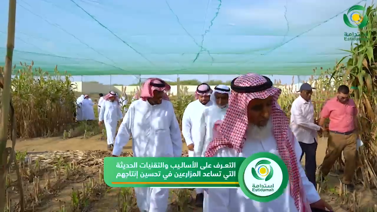 مركز استدامة  يختتم اليوم الحقلي في منطقة جازان والذي تناول أفضل الممارسات الزراعية للمحاصيل البعلية