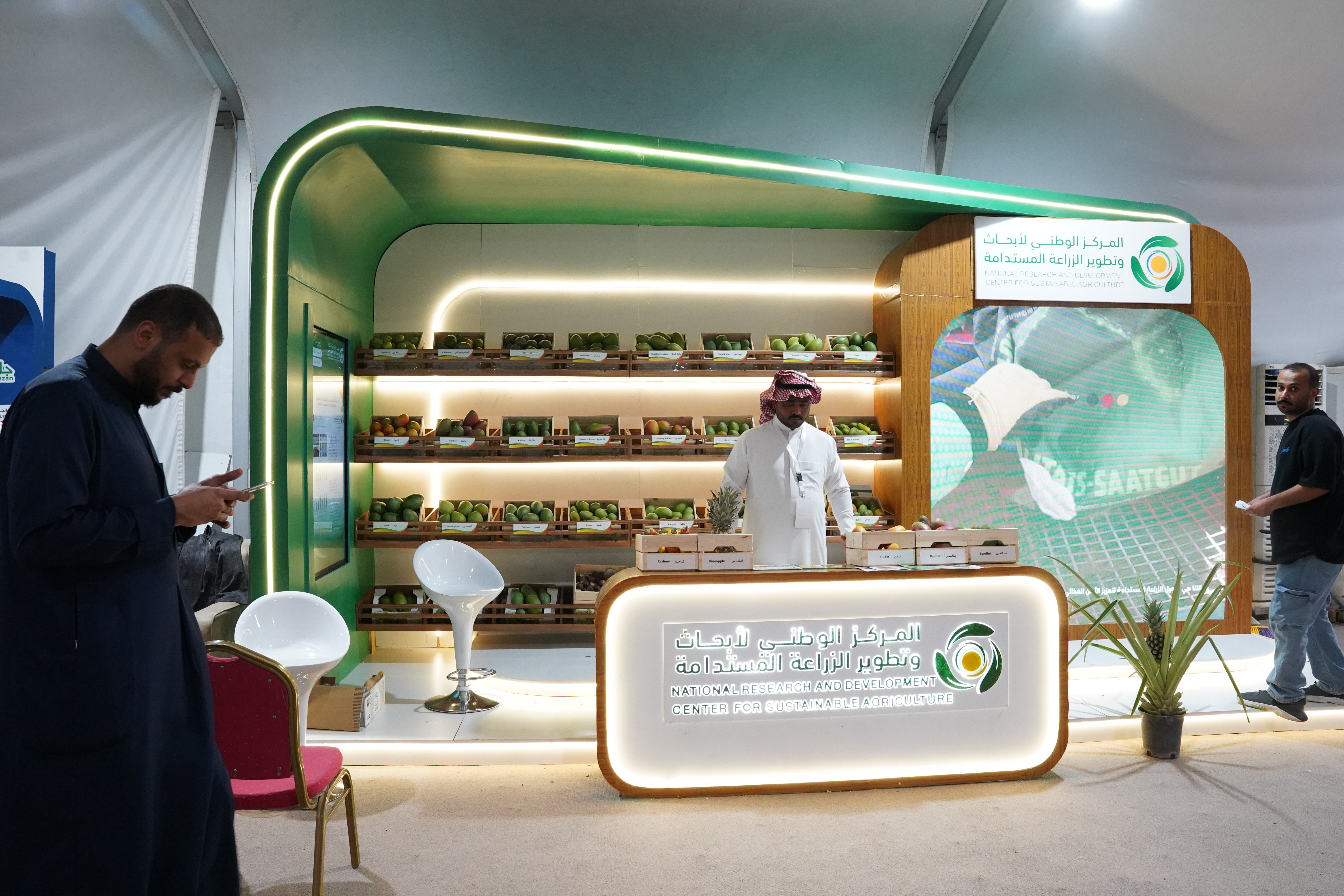 "استدامة" شريك إستراتيجي في مهرجان المانجو والفواكه الاستوائية الـ21 بمحافظة صبيا