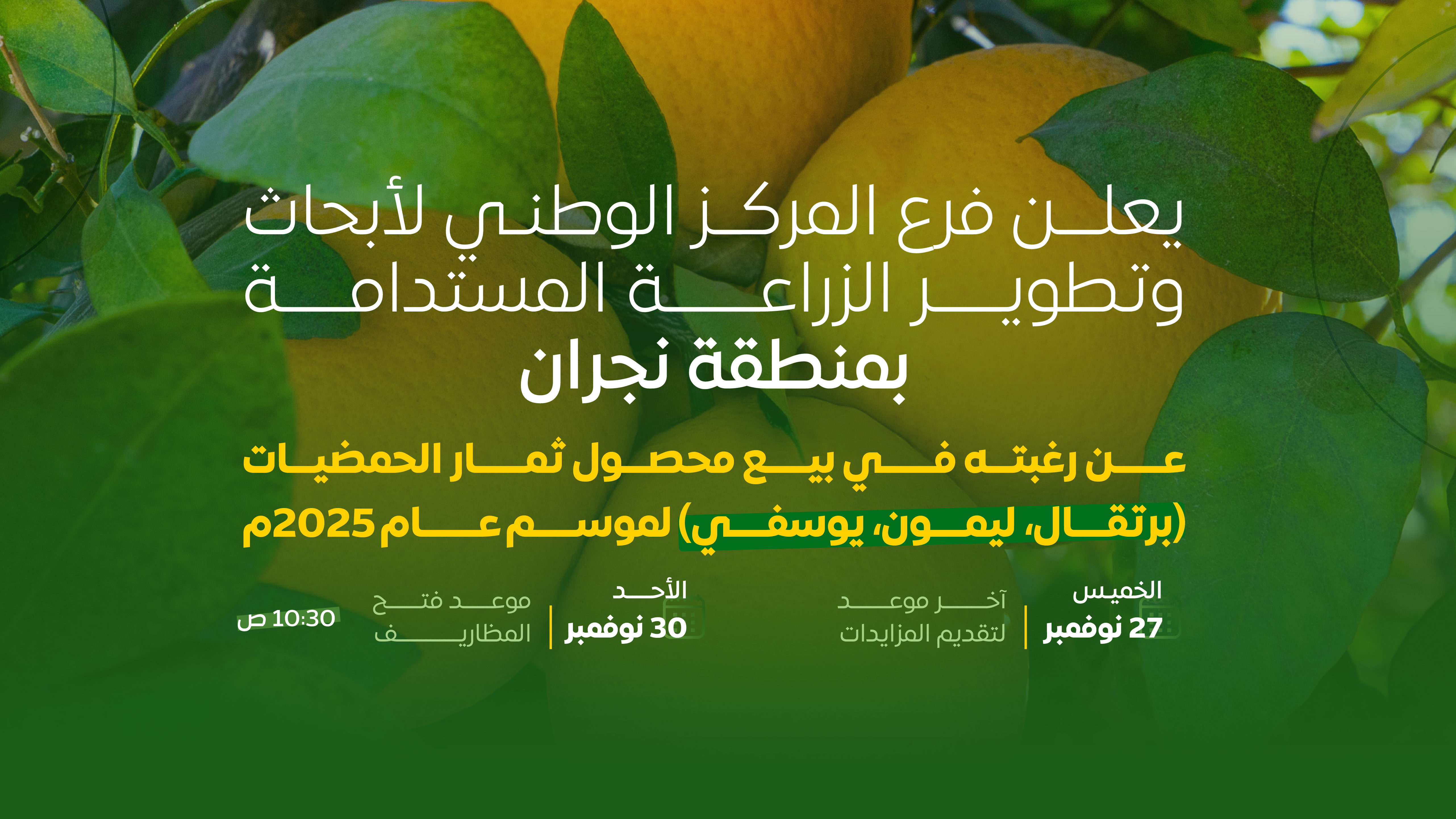 يُعلن فرع مركزاستدامة بنجران عن رغبته في بيع محصول ثمار الحمضيات