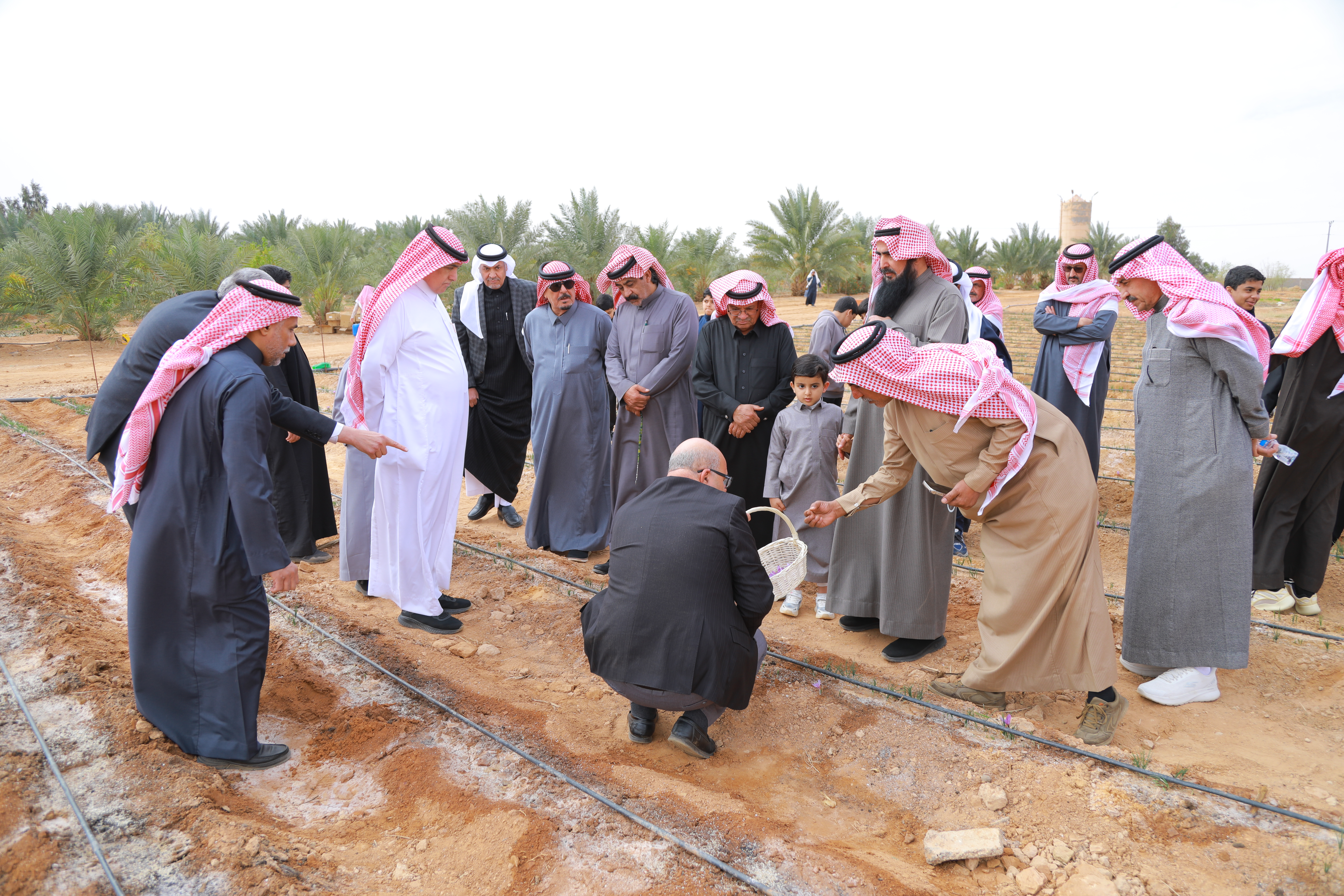 "استدامة" تُنظِّم ورشة عمل حول تأثير معاملات ما بعد الحصاد على جودة الزعفران- الجوف