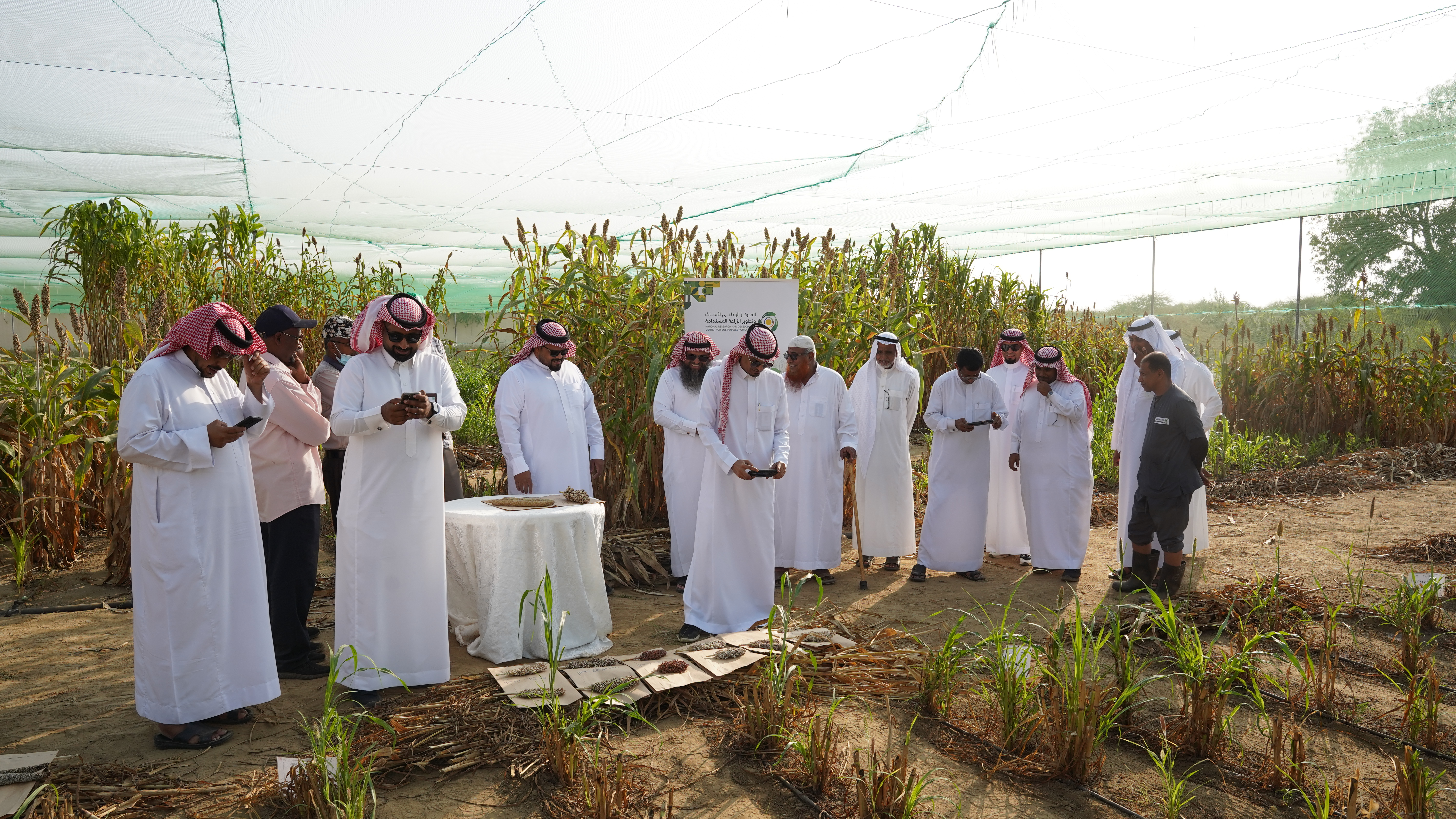 Estidamah Organizes a Field Day for Jazan Farmers to Enhance Sustainable Agriculture Practices.”