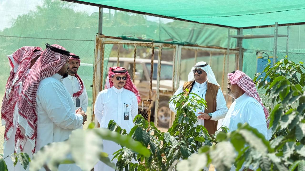 "استدامة” بجازان يطلق شراكة بحثية تطبيقية مع الجمعية التعاونية للبن لتنفيذ تجارب ميدانية في 5 حق ....