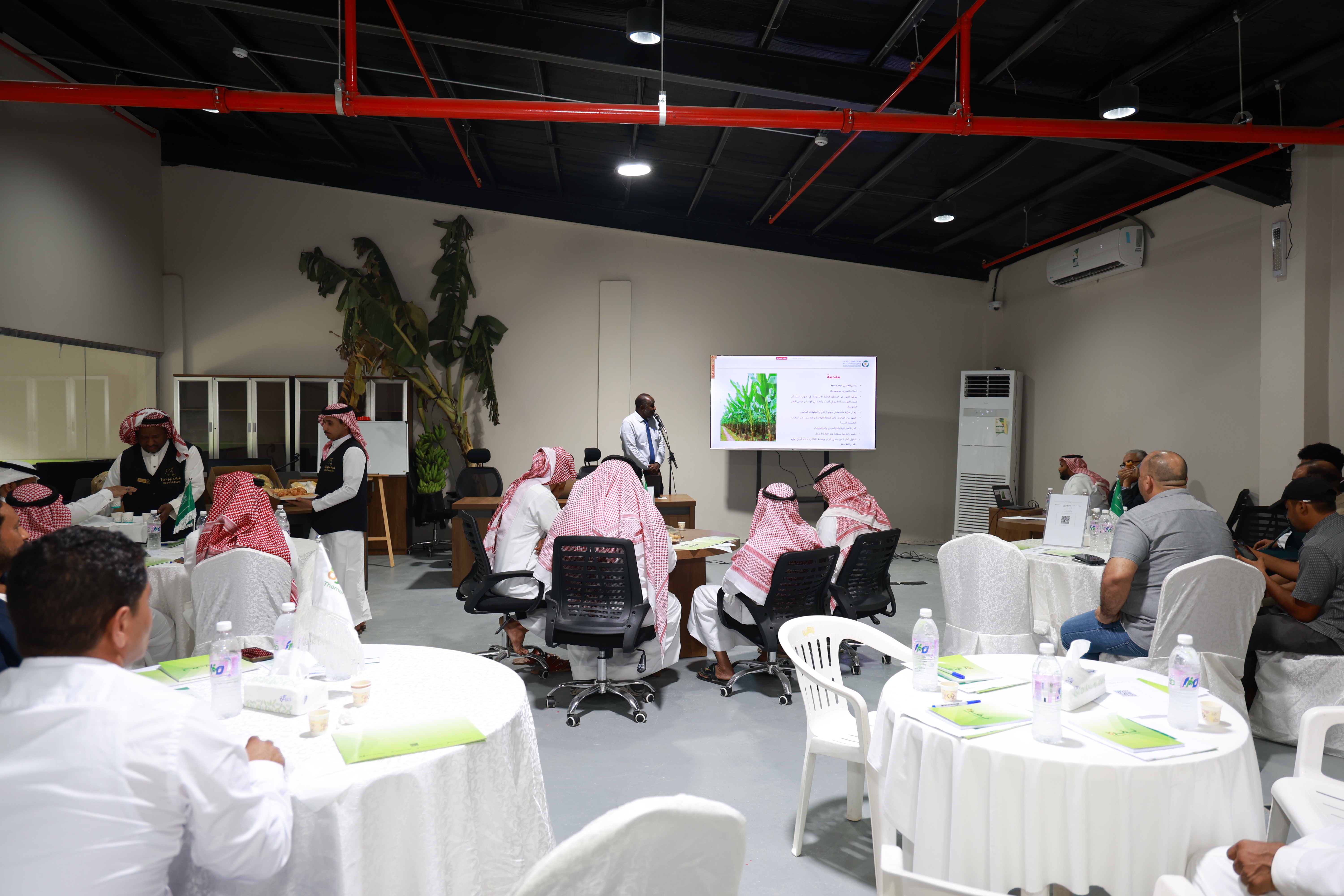 “Estidamah” Promotes Sustainable Banana Cultivation and Production Practices in Jazan Region