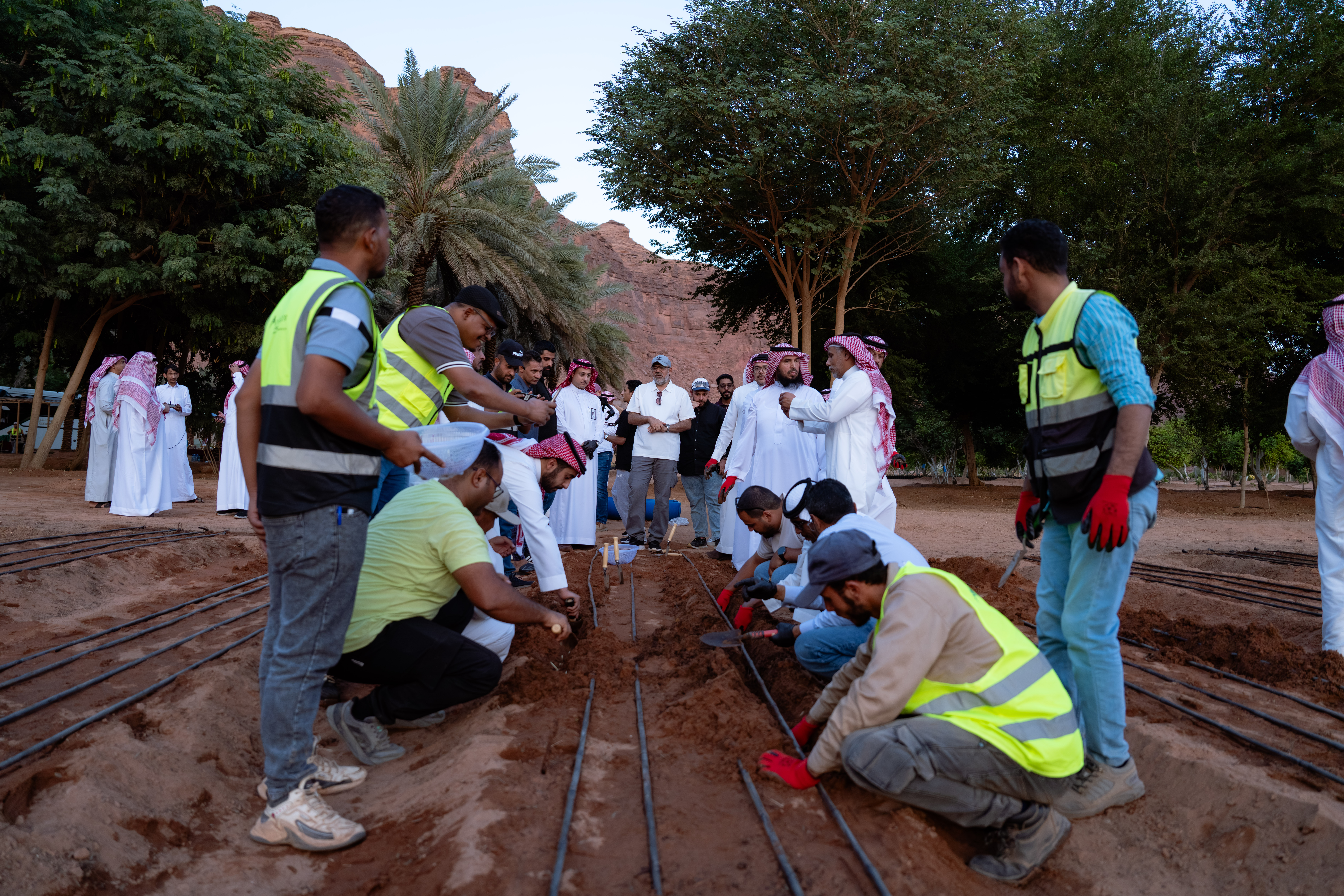 نظم ‫مركز استدامة‬ ورشة عمل ميدانية بعنوان "تهيئة الأرض وطريقة الزراعة"