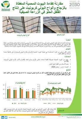 مقارنة كفاءة البيوت المحمية المغطاة بالزجاج وألواح البولي كربونيت على إنتاج الفلفل الحلو في الزراعة الصيفية