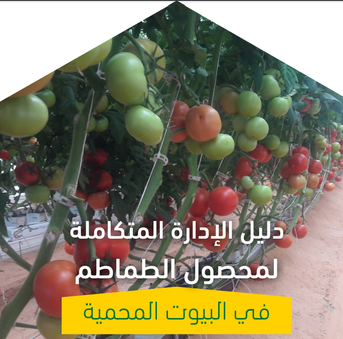 A Guide to the Integrated Management of Tomato Crops in a Greenhouse