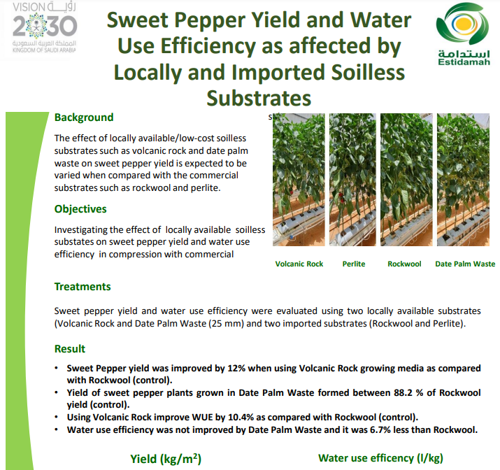 Sweet Pepper Yield and Water Use Efficiency as affected by Locally and Imported Soilless Substrates