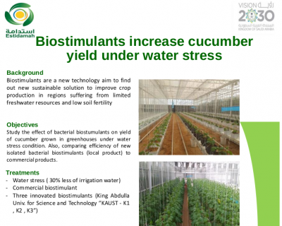 Biostimulants increase cucumber yield under water stress
