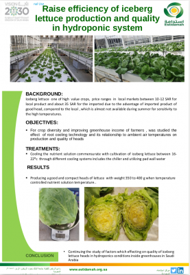 Raise efficiency of iceberg lettuce production and quality  in hydroponic system